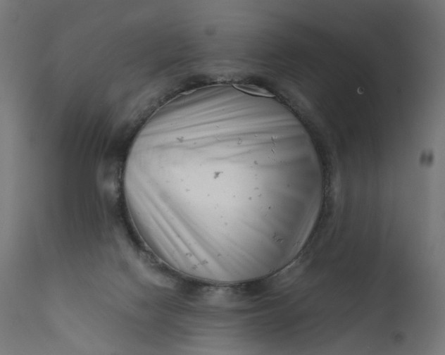 X0000111500074200907281301