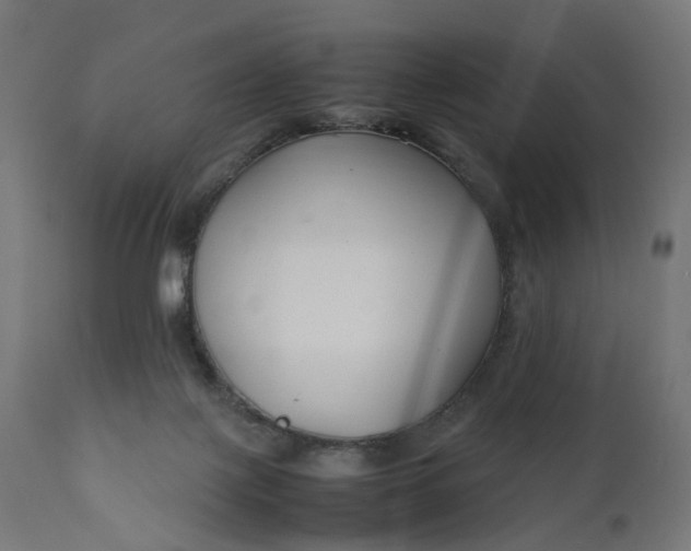 X0000111500075200907281301