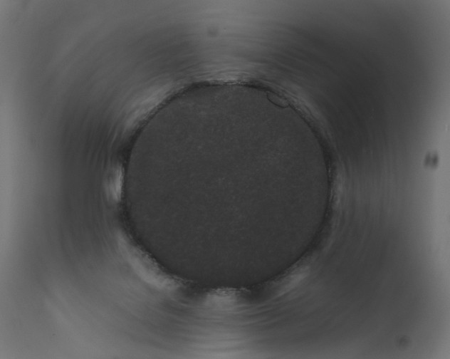 X0000111500076200907281301