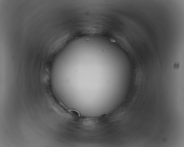 X0000111500077200907281301