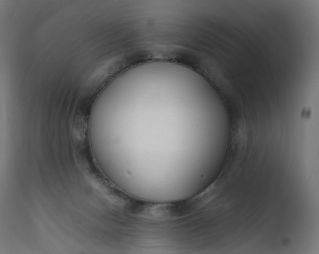 X0000111500078200907281301