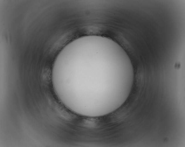 X0000111500079200907281301