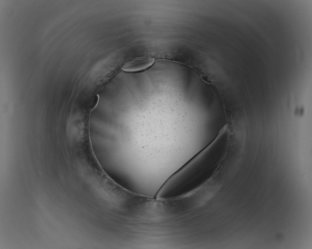 X0000111500080200907281301