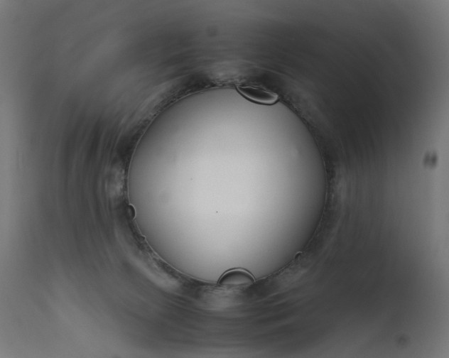 X0000111500081200907281301