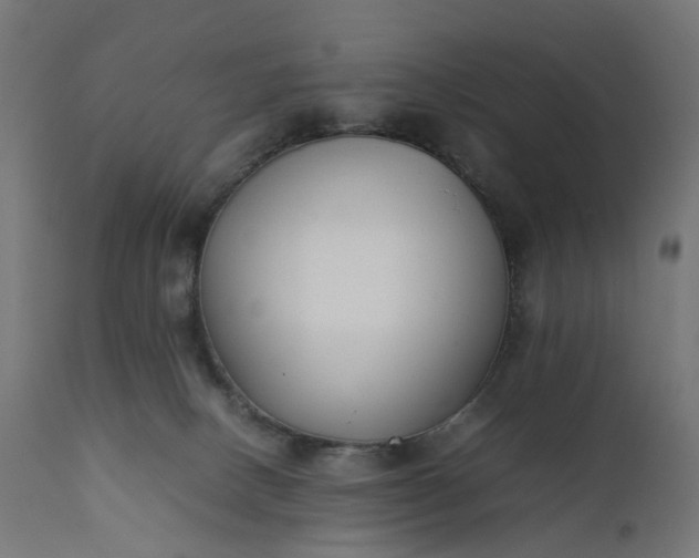 X0000111500082200907281301