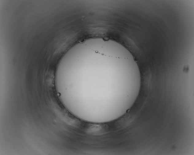 X0000111500083200907281301