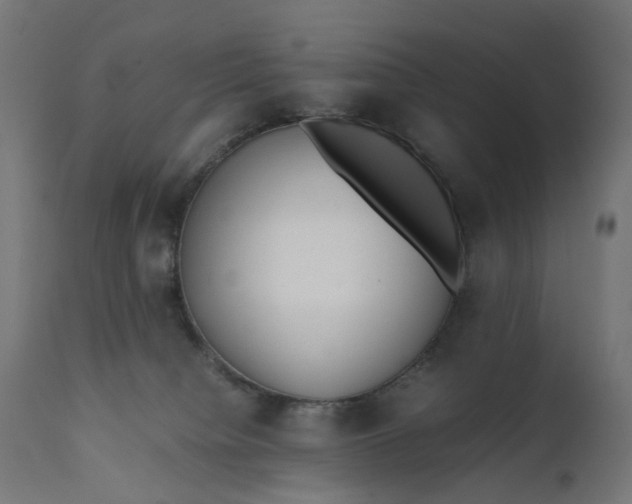 X0000111500084200907281301