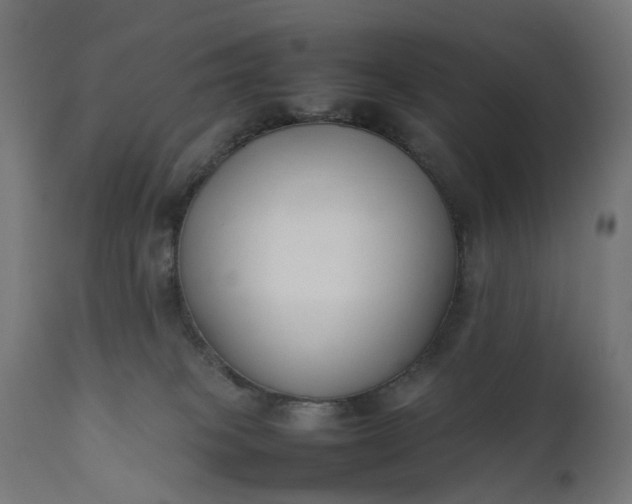 X0000111500085200907281301