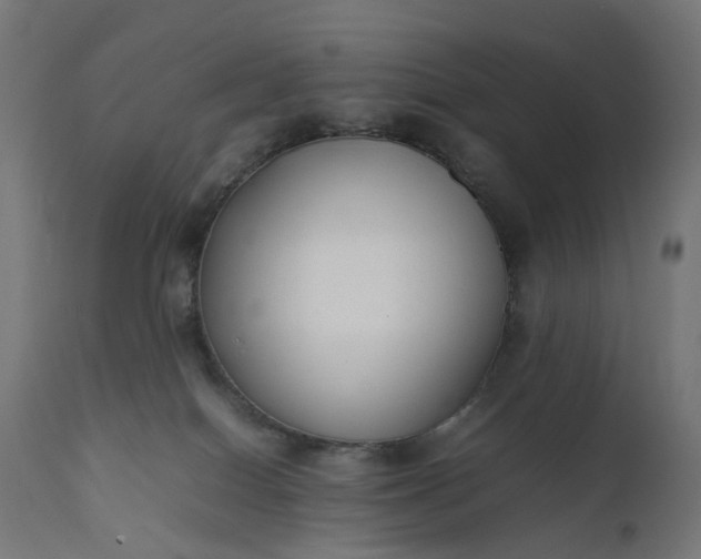 X0000111500086200907281301