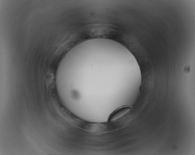 X0000111500087200907281301