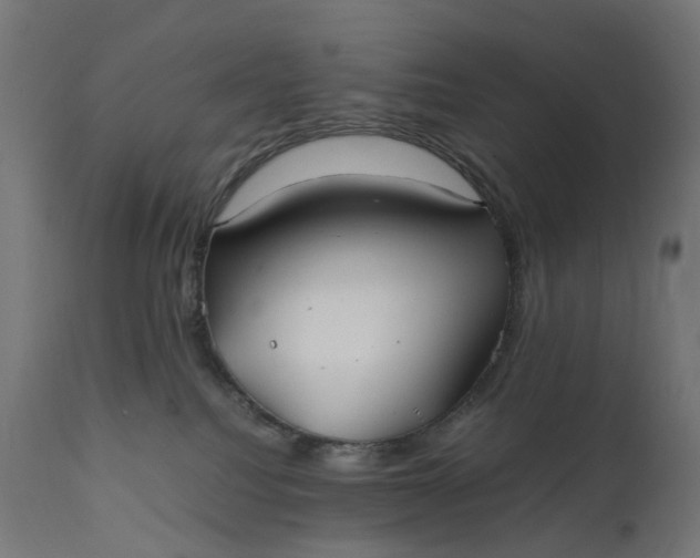 X0000111500088200907281301