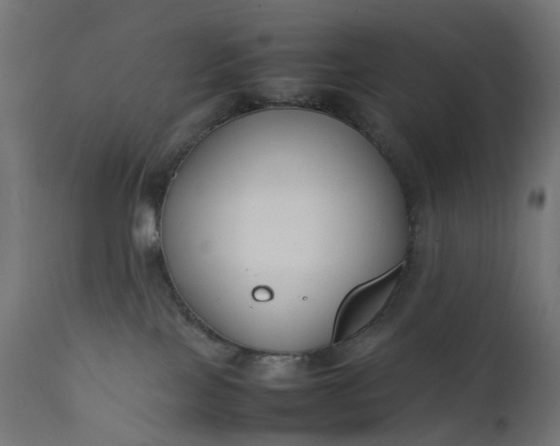 X0000111500089200907281301