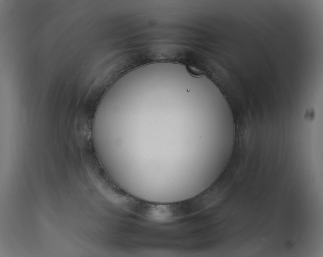 X0000111500091200907281301