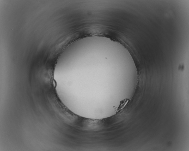 X0000111500093200907281301