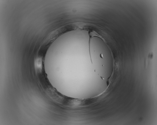 X0000111500094200907281301