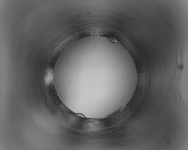 X0000111500095200907281301