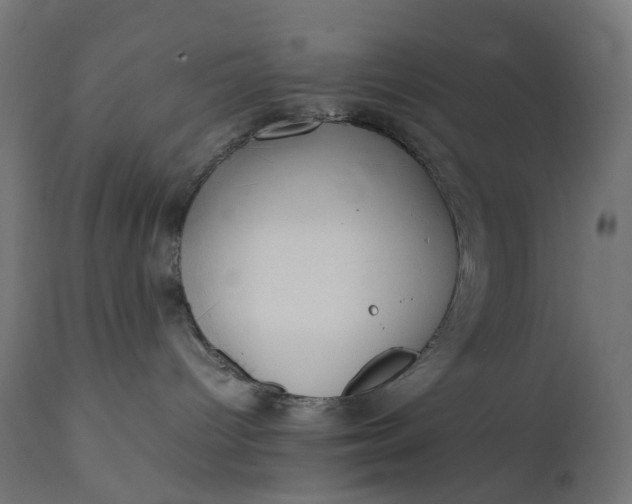 X0000111500096200907281301