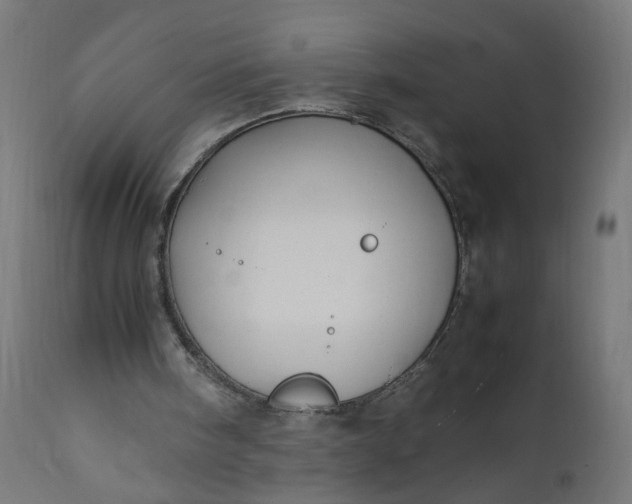 X0000111500098200907281301