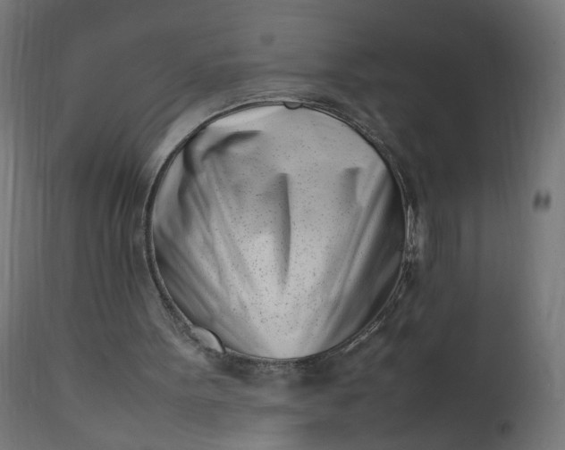 X0000111500099200907281301