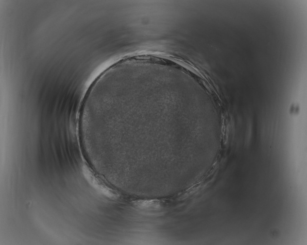 X0000111500100200907281301