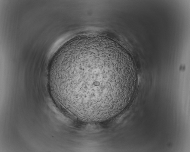 X0000111500101200907281301