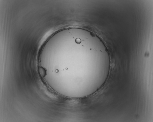 X0000111500102200907281301