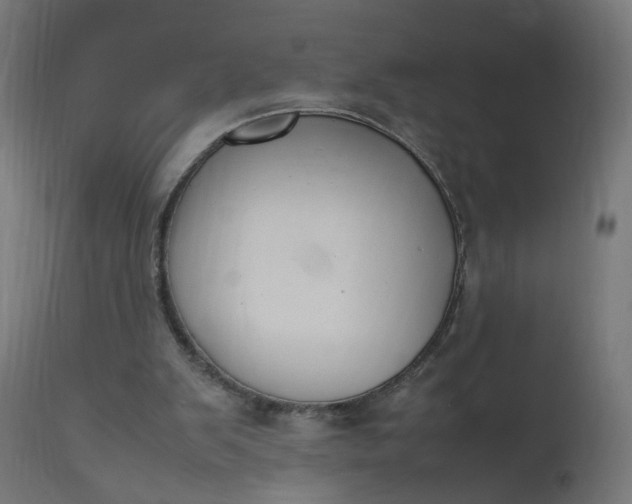 X0000111500103200907281301