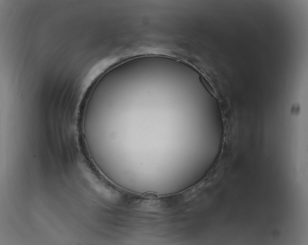 X0000111500104200907281301