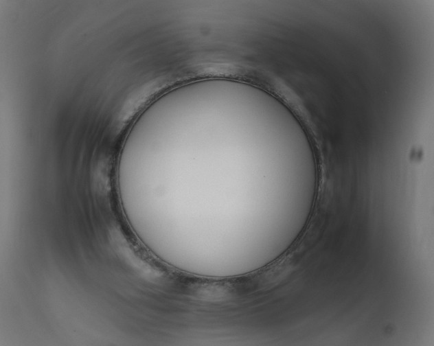 X0000111500106200907281301