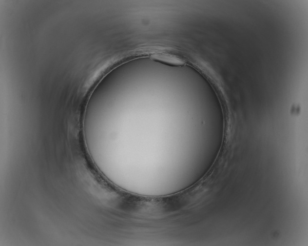 X0000111500107200907281301