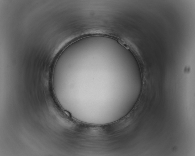 X0000111500108200907281301