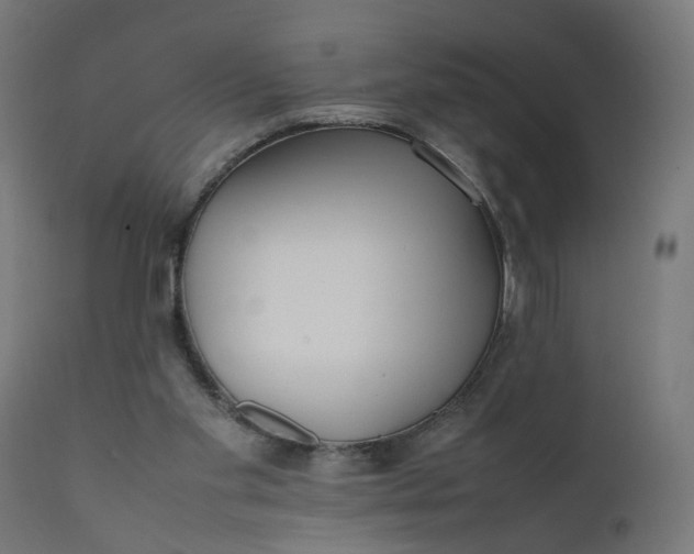 X0000111500109200907281301