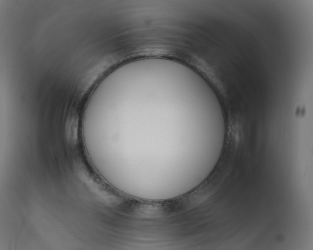 X0000111500110200907281301