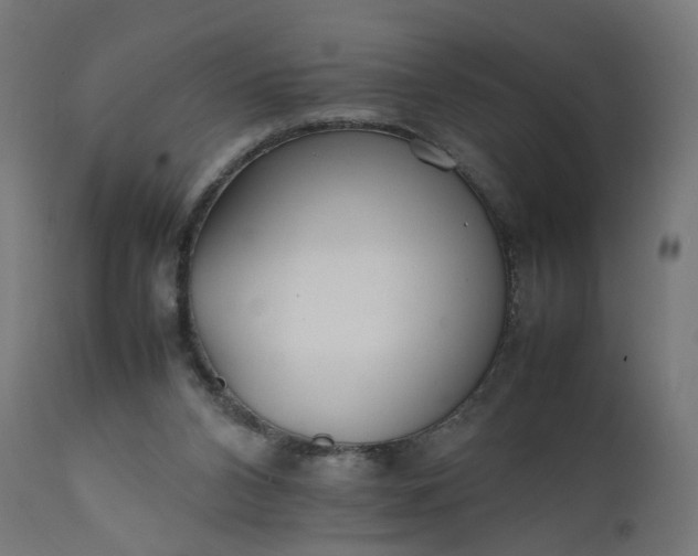 X0000111500112200907281301