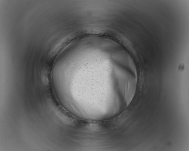 X0000111500114200907281301