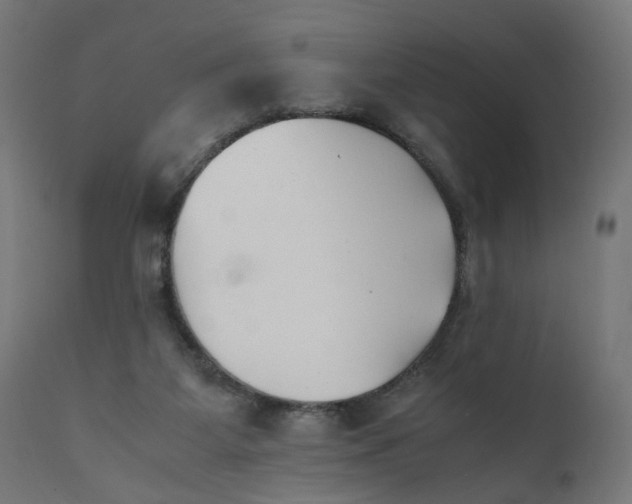 X0000111500115200907281301