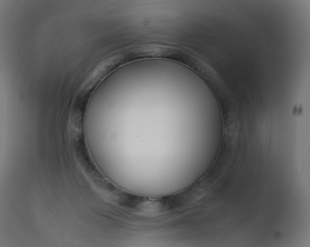 X0000111500119200907281300