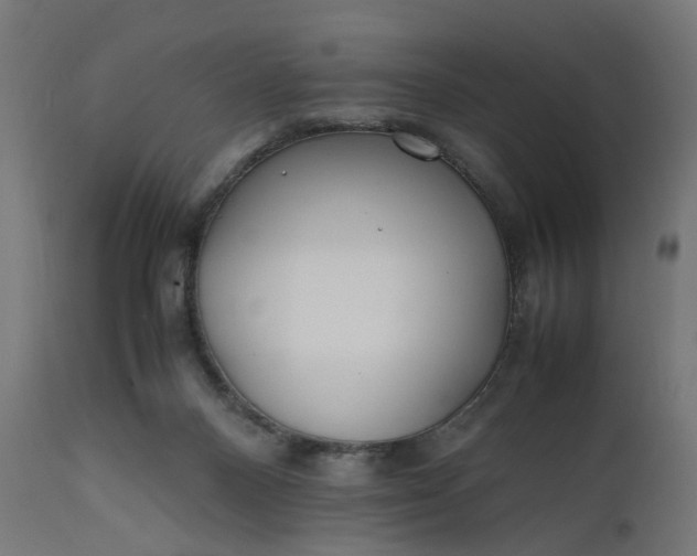 X0000111500120200907281300