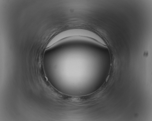 X0000111500121200907281300