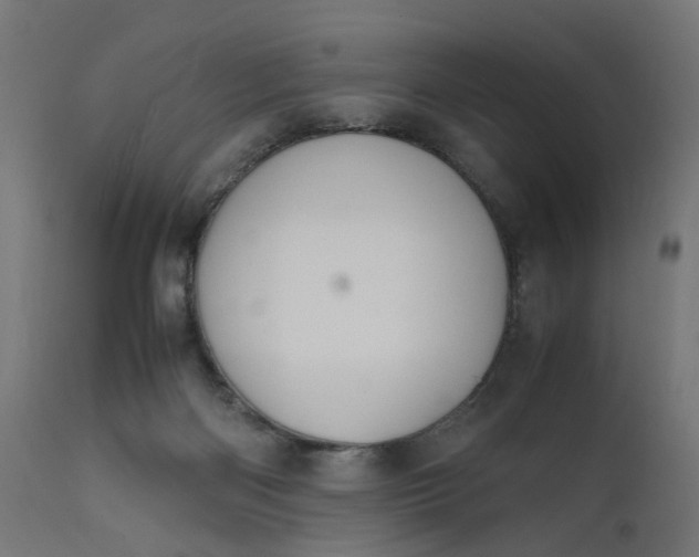 X0000111500122200907281300