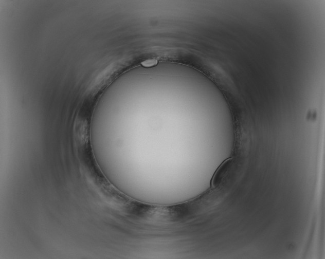 X0000111500123200907281300