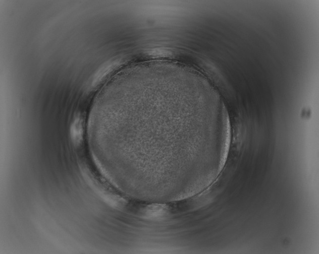 X0000111500124200907281300