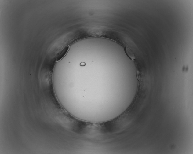 X0000111500125200907281300