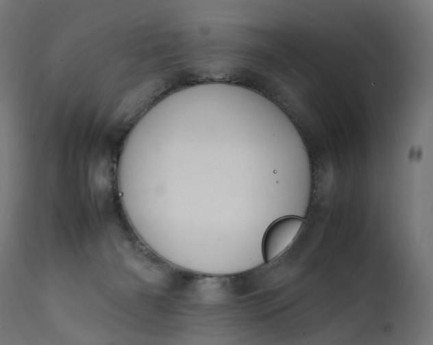 X0000111500126200907281300