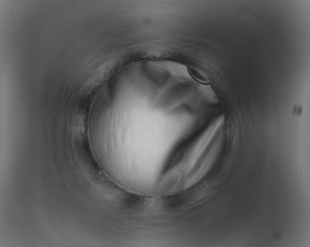 X0000111500127200907281300