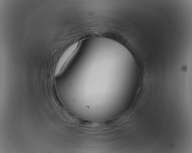 X0000111500129200907281300