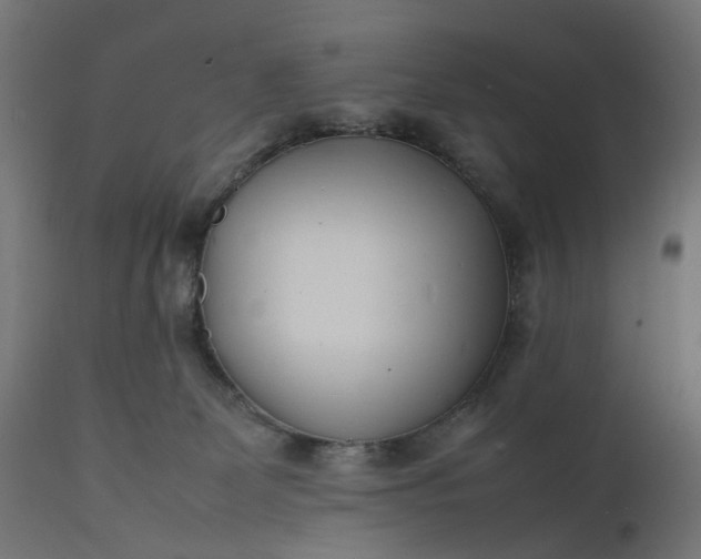 X0000111500131200907281300