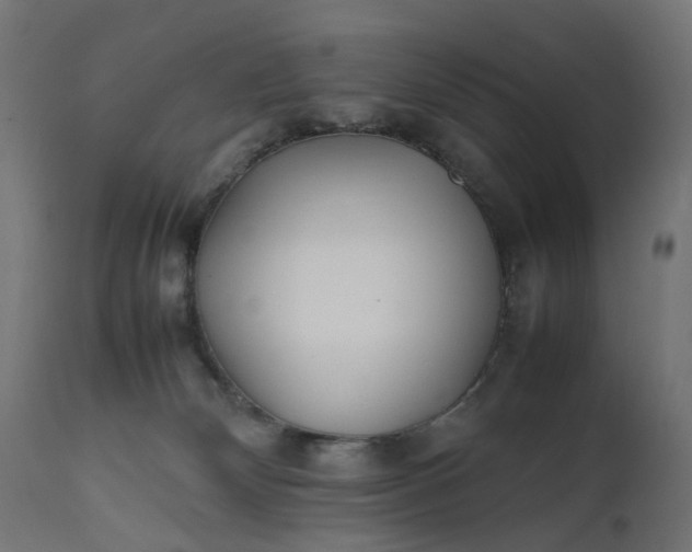 X0000111500132200907281300