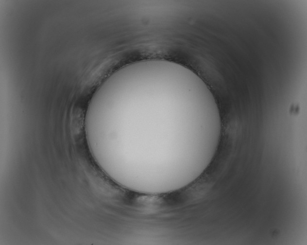 X0000111500133200907281300