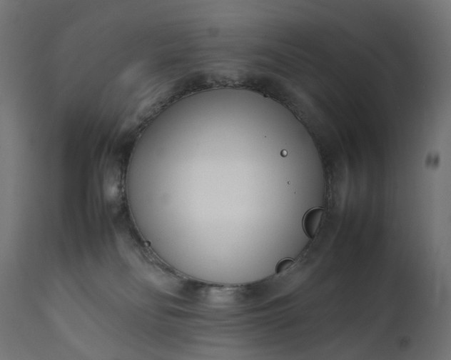 X0000111500134200907281300